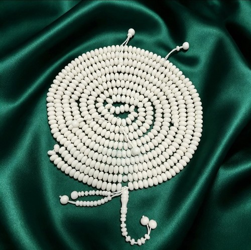 100 camel bone islamic - camel,