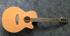 Legacy Artist series Electro Acoustic Guitar  