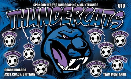 Thundercats soccer team - ,