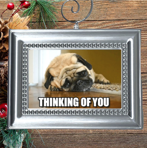 Pug puppy dog adorable - pug,