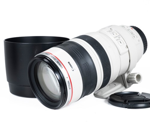 Canon 100 400mm - 100-400mm, l