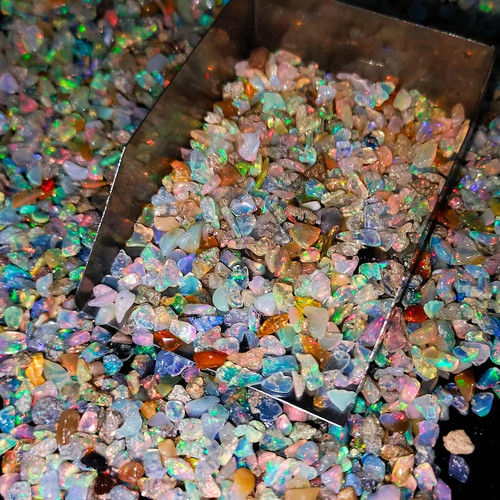 Dry opal rough 250 pcs - dry,