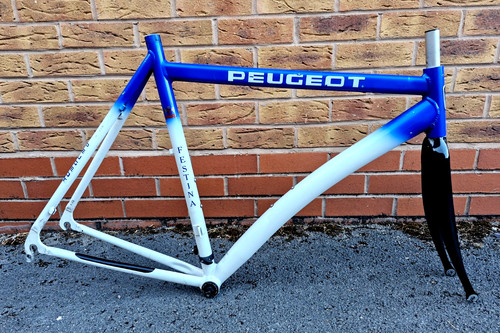 Peugeot team festina replica - team,