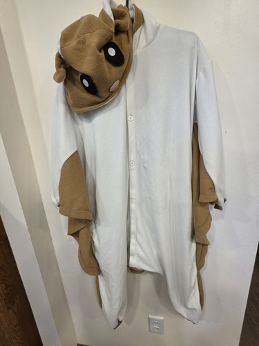 Flying squirrel adult - squirrel,