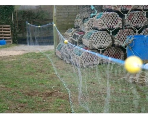 Gill net survival 100ft - gill,