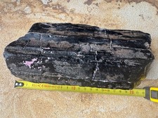 HUGE WHITBY FOSSIL JET