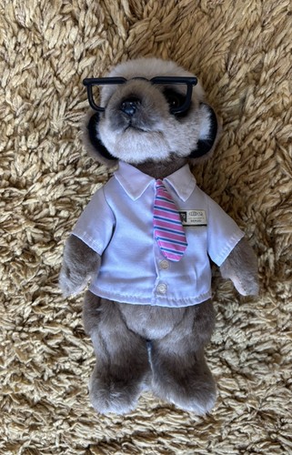 Compare the market meerkat - the,