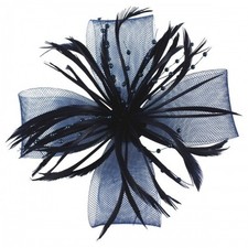 Aurora Collection Biots and