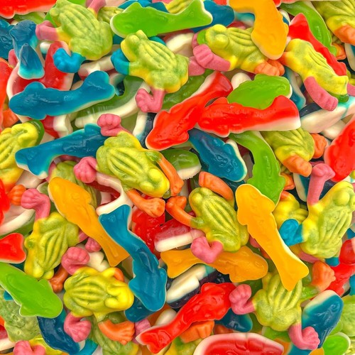 Gummy sharks and rainforest - gummy,