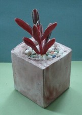Pink Homemade Concrete Plant Pot 