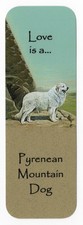 Pyrenean mountain dog - pyrenean,