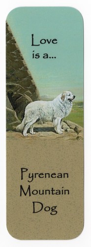 Pyrenean mountain dog - dog, bookmark