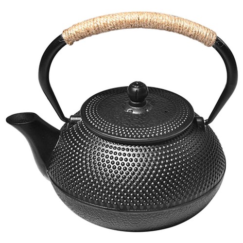 Sturdy iron tea pot - ,