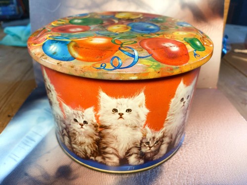 Round kittens cats and - round,
