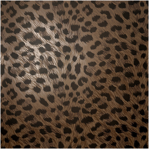 Animal print wallpaper black - print,