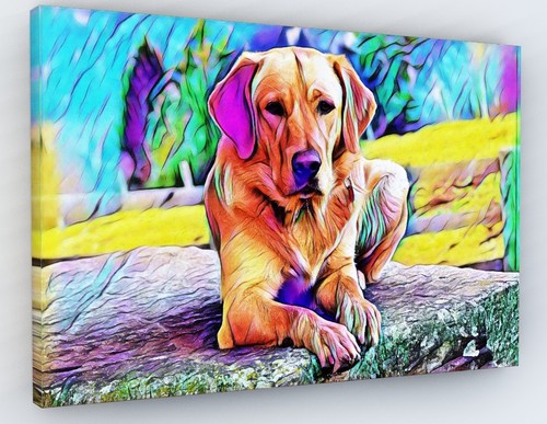 Stunning labrador dog canvas - stunning,