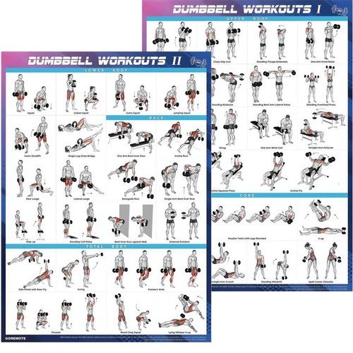 Zakvop dumbbell workout poster - zakvop,