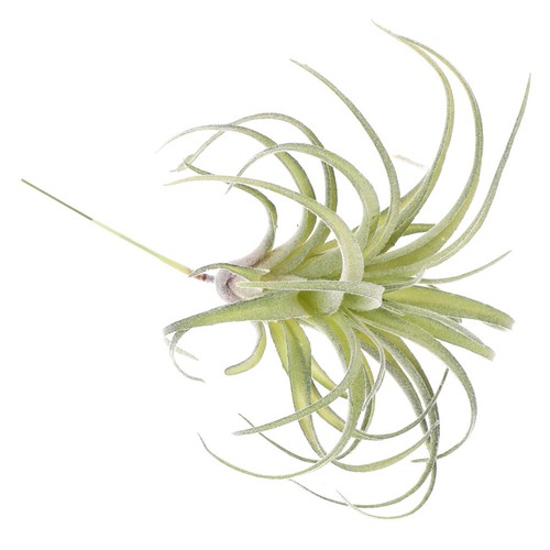 Artificial flower home - home, decor