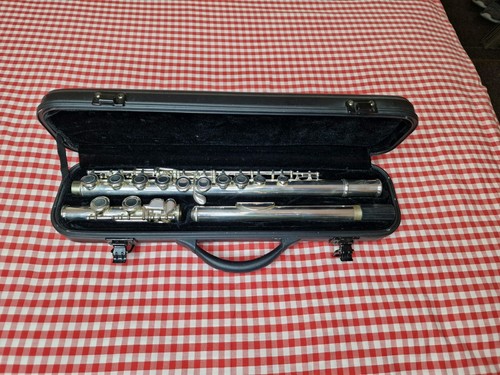 Vintage flute stagg hard - vintage,