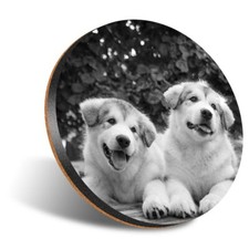 1 x Round 12cm Coaster - BW -