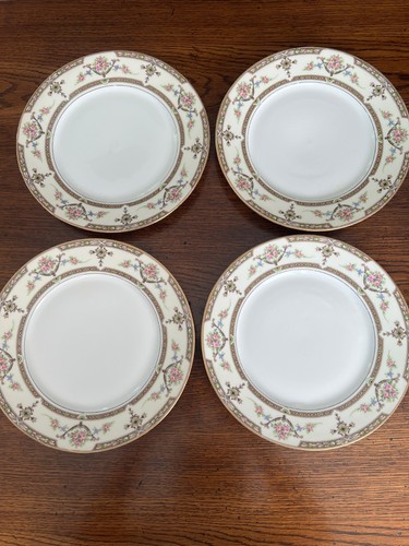 Limoges france dinner - u,