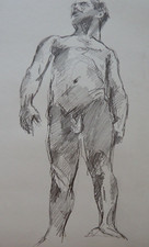 Pencil drawing male - , nude