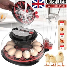 12 Eggs Fully Automatic