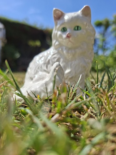 Goebel persian cat kitten - goebel,