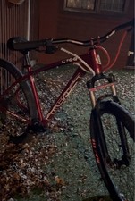 Custom 1of1 Collective C100 V2