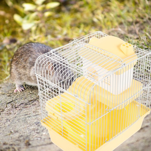 Hamster hideouts large rodent - hamster,