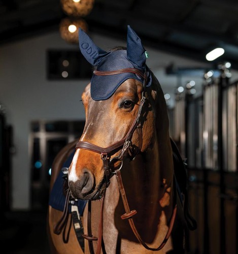 Horseware amigo ear - horseware,