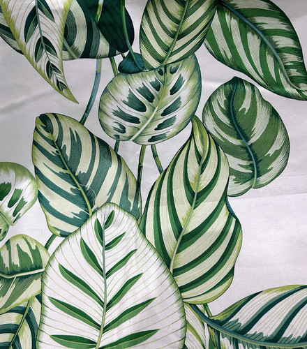 Calathea fabric sanderson - calathea,
