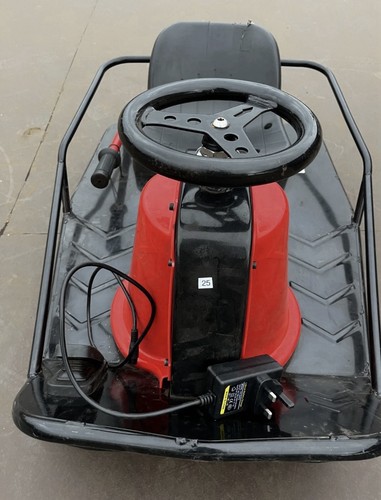 Crazy kart kids - kart, electric