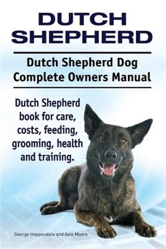 Dutch shepherd - shepherd.,