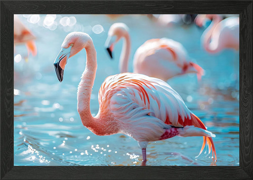 Flamingos wade framed - framed, wall