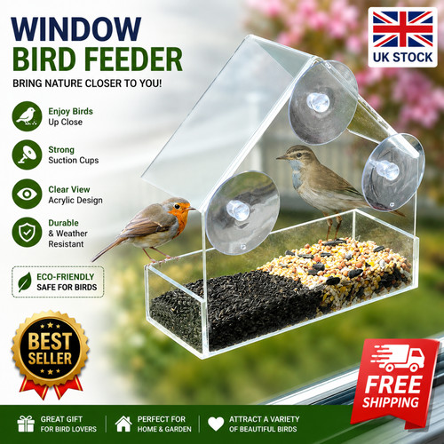 Glass window bird feeder - bird,