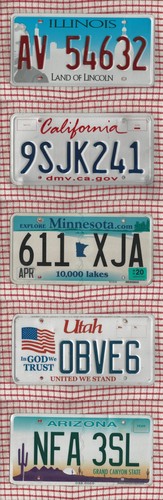 American license licence - 5,