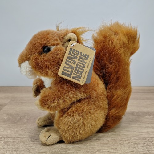 Living nature red squirrel - nature,