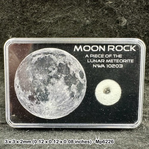 Genuine lunar meteorite - ,