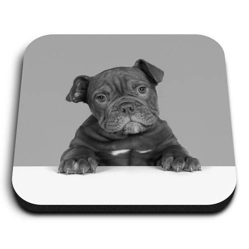 Square mdf magnets cute - square, bw