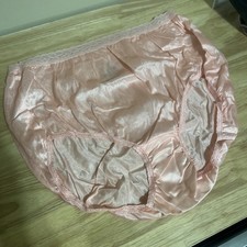 Hanes Nylon Full Brief Panty