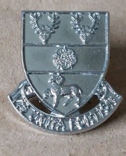 VIS UNITA FORTIOR Old Police Collar Badge - Possibly Derby? Missing Split Pin