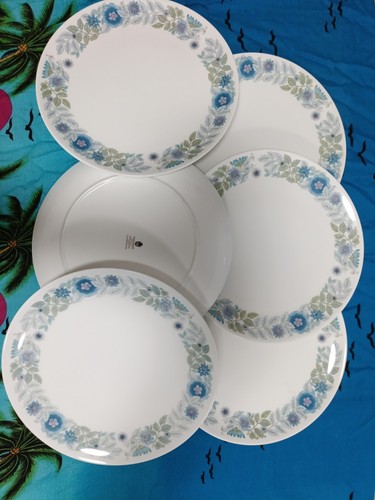 Set wedgwood clementine - set,