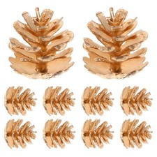10 Pcs Pine Cones Bulk Giant