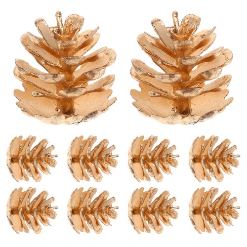 Pcs pine cones bulk giant - pine,