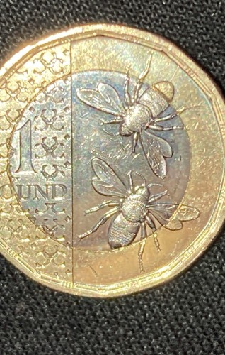 2017 one pound coin - 2017,