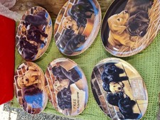 Labrador plates by Nigel
