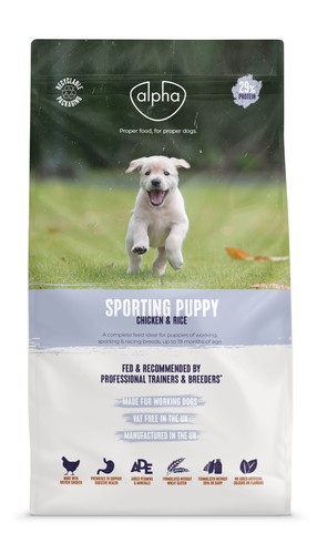 Damaged alpha sporting puppy - damaged,