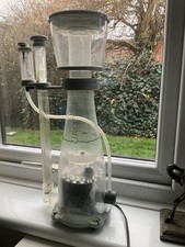 marine aquarium protein