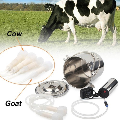 For cow goat - cow,